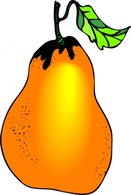 Food - Pear clip art 