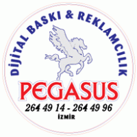 Advertising - Pegasus Dijital 