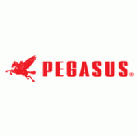 PEGASUS MÁQUINAS DE COSTURA (Sewing machines )