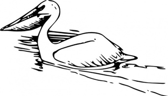 Animals - Pelican clip art 