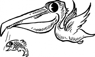 Pelican With Fish clip art Preview