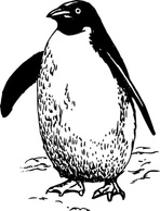 Animals - Penguin clip art 