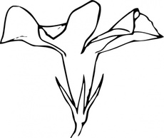 Flowers & Trees - Periwinkle Flower Side View clip art 