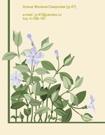 Periwinkle Flower Vector