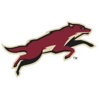 Hockey - Phoenix Coyotes 