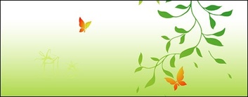 Pictures of green branches and Butterfly Preview