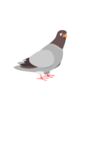 Cartoon - Pigeon 