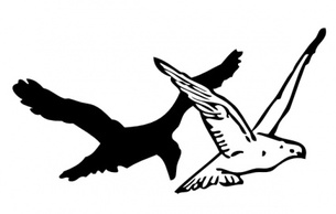 Pigeon And Crow clip art