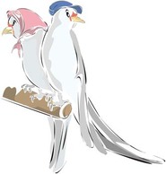 Pigeon vector 2 Preview