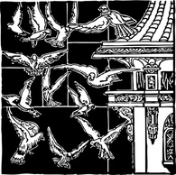 Pigeons In Flight clip art