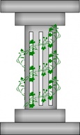 Ornaments - Pillar With Plant Vines clip art 