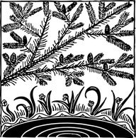 Flowers & Trees - Pine Over Pond clip art 