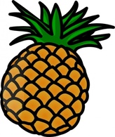 Pineaple clip art