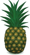 Pineapple 1