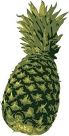 Pineapple 5