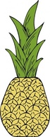 Food - Pineapple clip art 