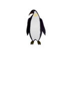 Pingouin Preview