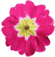 Flowers & Trees - Pink Flower clip art 