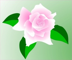 Flowers & Trees - Pink-rose clip art 