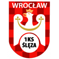 Football - PKS Ślęza Wrocław 