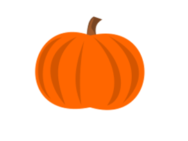 Food - Plain Pumpkin 