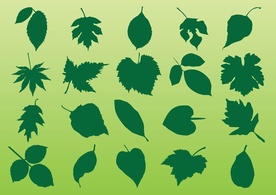 Elements - Plant Leaves Vectors 