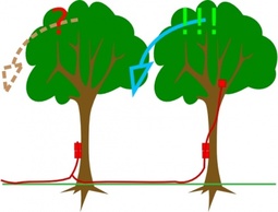 Flowers & Trees - Plants Charge Trees Explosives Timber 