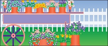 Plants flower in pots out door Preview