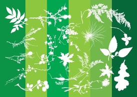 Elements - Plants Silhouettes 