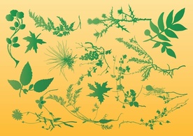 Plants Vector Graphics