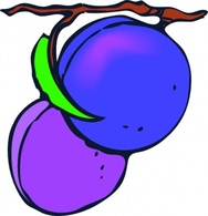 Plums clip art