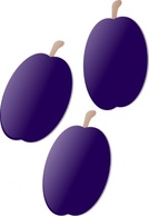 Plums clip art 