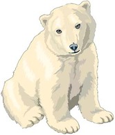 Polar bear 3