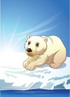 Animals - Polar bear 4 