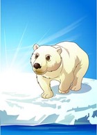 Animals - Polar bear 5 