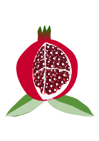 Food - Pomegranate Fruit 