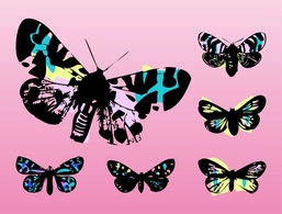 Animals - Pop Art Butterflies 