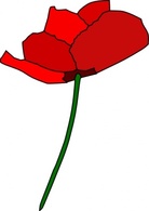 Poppy Flower clip art Preview