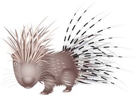 Porcupine Preview