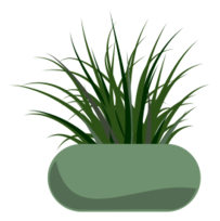 Potted Grass