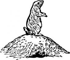 Prairie Dog clip art