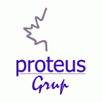 Proteus Grup SRL Preview