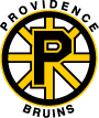 Providence Bruins Preview