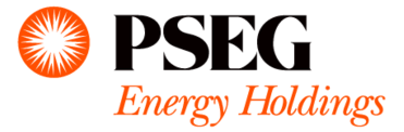 Pseg Energy Holding