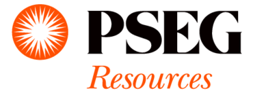 Pseg Resources