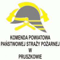 Government - PSP Pruszkow 