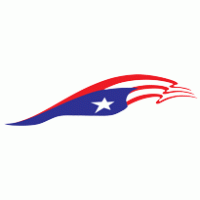 Auto - Puerto Rico Flag for Truck and car 
