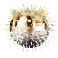 Pufferfish Vector