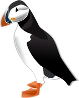 Animals - Puffin Md clip art 