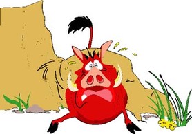 Pumbaa 4